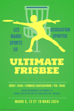 Frisbee Flyer Template - Fait avec PosterMyWall.jpg